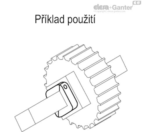 ANPS_Q_ACC_EXAMPLE_CZ