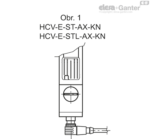 HCV_E_S_AX_FIG1_CZ
