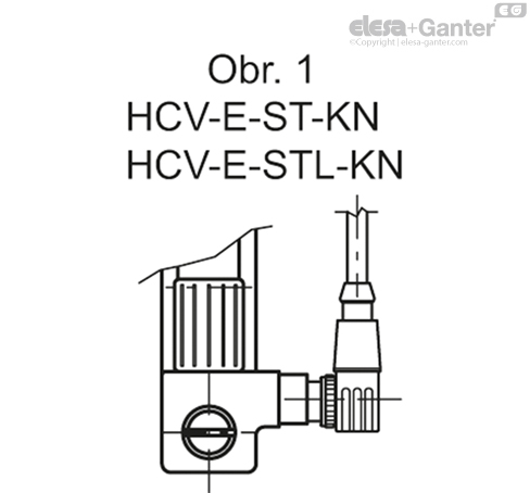 HCV_E_S_FIG1_CZ